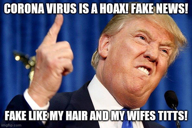 Donald Trump | CORONA VIRUS IS A HOAX! FAKE NEWS! FAKE LIKE MY HAIR AND MY WIFES TITTS! | image tagged in donald trump,fake,news,moron | made w/ Imgflip meme maker