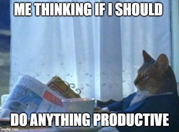I Should Buy A Boat Cat | ME THINKING IF I SHOULD; DO ANYTHING PRODUCTIVE | image tagged in memes,i should buy a boat cat | made w/ Imgflip meme maker