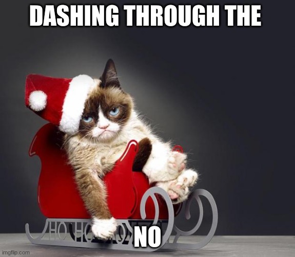 Memes |  DASHING THROUGH THE; NO | image tagged in grumpy cat christmas hd | made w/ Imgflip meme maker