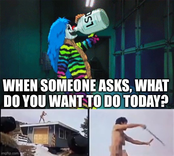 Seems about right | WHEN SOMEONE ASKS, WHAT DO YOU WANT TO DO TODAY? | made w/ Imgflip meme maker