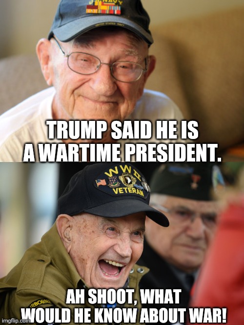 True Heroes | TRUMP SAID HE IS A WARTIME PRESIDENT. AH SHOOT, WHAT WOULD HE KNOW ABOUT WAR! | image tagged in trump,hero,veterans,republicans,coronavirus | made w/ Imgflip meme maker