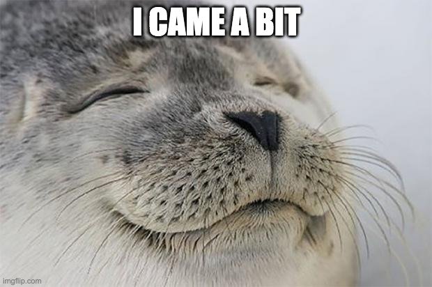 Satisfied Seal Meme | I CAME A BIT | image tagged in memes,satisfied seal | made w/ Imgflip meme maker
