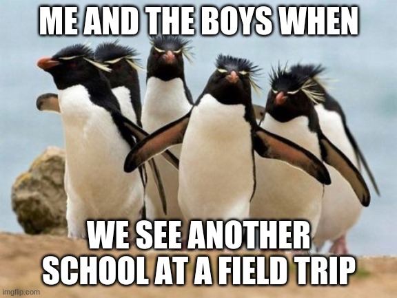 Penguin Gang | ME AND THE BOYS WHEN; WE SEE ANOTHER SCHOOL AT A FIELD TRIP | image tagged in memes,penguin gang | made w/ Imgflip meme maker
