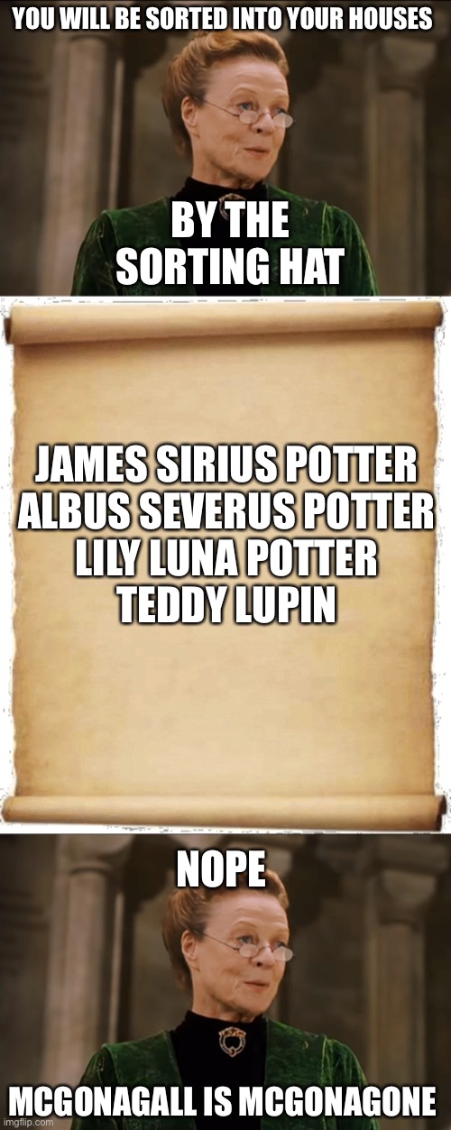 When James,Albus,Lily and Teddy went to Hogwarts | YOU WILL BE SORTED INTO YOUR HOUSES; BY THE SORTING HAT; JAMES SIRIUS POTTER
ALBUS SEVERUS POTTER
LILY LUNA POTTER
TEDDY LUPIN; NOPE; MCGONAGALL IS MCGONAGONE | image tagged in hogwarts,harry potter | made w/ Imgflip meme maker