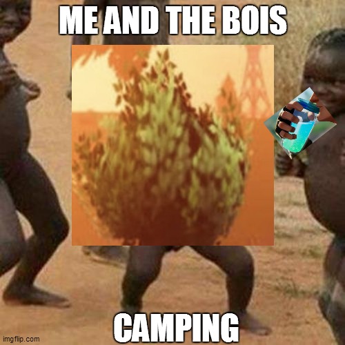 ME AND THE BOIS; CAMPING | image tagged in camping | made w/ Imgflip meme maker