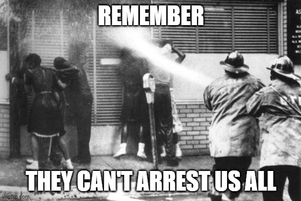 Civil Rights Fire Hose | REMEMBER THEY CAN'T ARREST US ALL | image tagged in civil rights fire hose | made w/ Imgflip meme maker