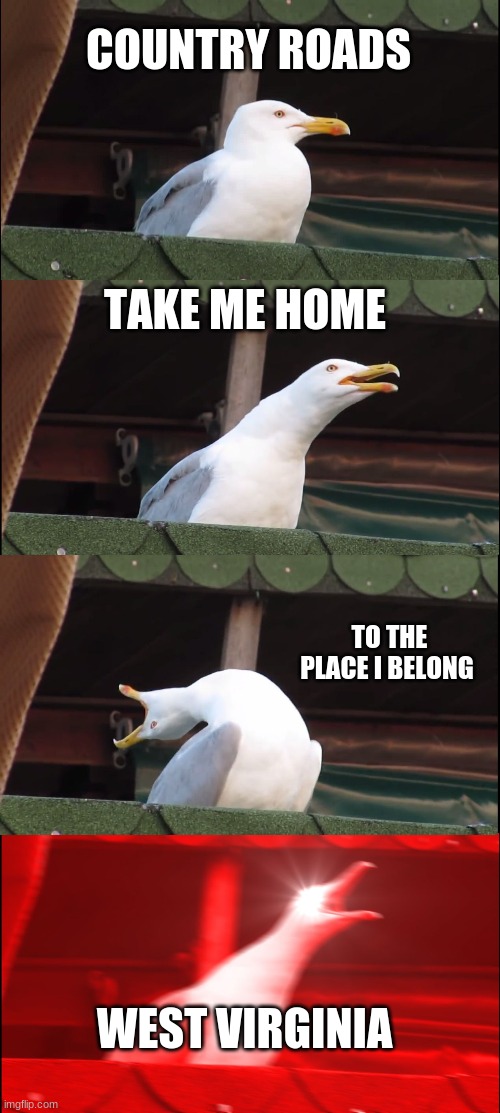 Inhaling Seagull Meme | COUNTRY ROADS; TAKE ME HOME; TO THE PLACE I BELONG; WEST VIRGINIA | image tagged in memes,inhaling seagull | made w/ Imgflip meme maker