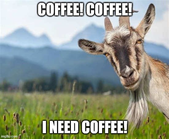 Coffee! | COFFEE! COFFEE! I NEED COFFEE! | image tagged in funny memes | made w/ Imgflip meme maker