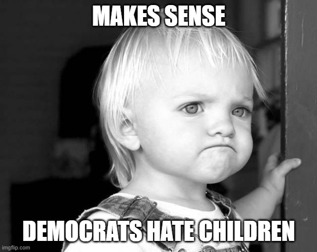FROWN KID | MAKES SENSE DEMOCRATS HATE CHILDREN | image tagged in frown kid | made w/ Imgflip meme maker