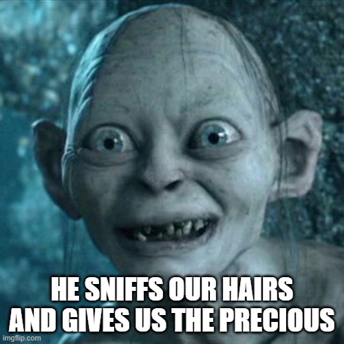 Gollum Meme | HE SNIFFS OUR HAIRS AND GIVES US THE PRECIOUS | image tagged in memes,gollum | made w/ Imgflip meme maker