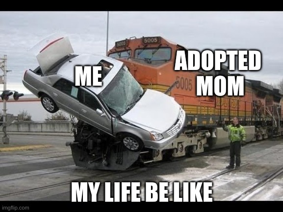 Car Crash | ADOPTED 
MOM; ME; MY LIFE BE LIKE | image tagged in car crash | made w/ Imgflip meme maker