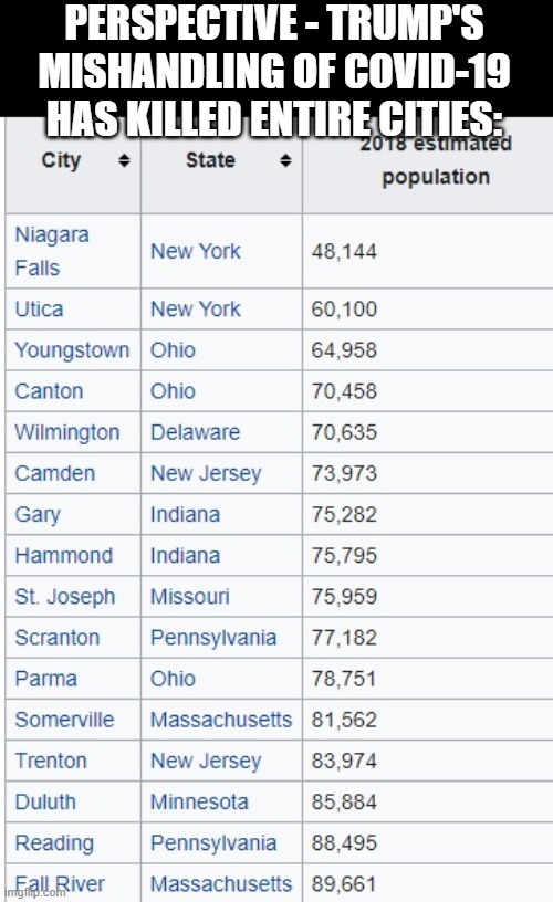 PERSPECTIVE - TRUMP'S MISHANDLING OF COVID-19 HAS KILLED ENTIRE CITIES: | made w/ Imgflip meme maker