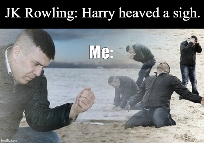 JK Rowling: Harry heaved a sigh. Me: | image tagged in harry potter | made w/ Imgflip meme maker