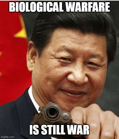 Xi Jinping | BIOLOGICAL WARFARE IS STILL WAR | image tagged in xi jinping | made w/ Imgflip meme maker