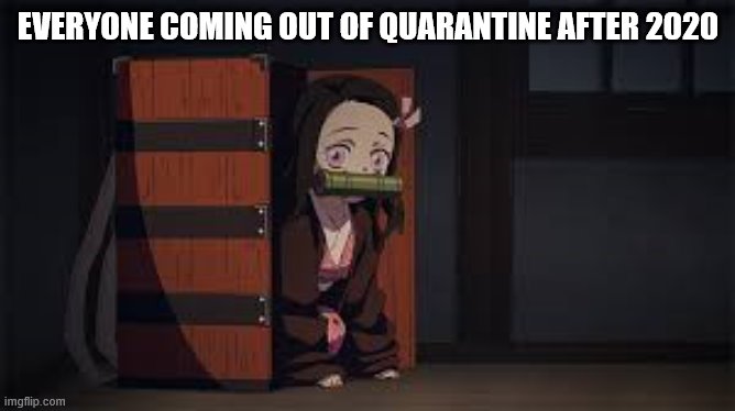Demon Slayer Nezuko | EVERYONE COMING OUT OF QUARANTINE AFTER 2020 | image tagged in demon slayer nezuko | made w/ Imgflip meme maker