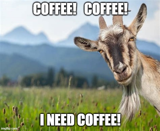 Coffee Goat | COFFEE!   COFFEE! I NEED COFFEE! | image tagged in funny memes | made w/ Imgflip meme maker