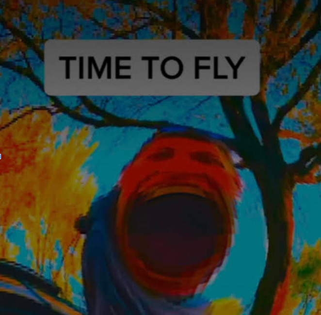 TIME TO FLY Blank Meme Template