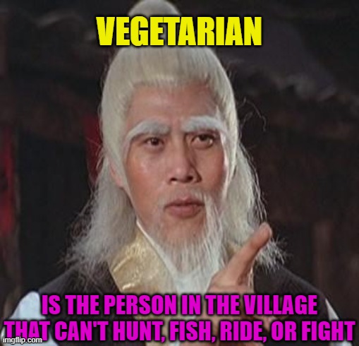 Wise Kung Fu Master | VEGETARIAN; IS THE PERSON IN THE VILLAGE THAT CAN'T HUNT, FISH, RIDE, OR FIGHT | image tagged in wise kung fu master,funny,vegetarian,vegan,carnivores,meat | made w/ Imgflip meme maker