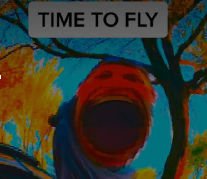 TIME TO FLY Blank Meme Template