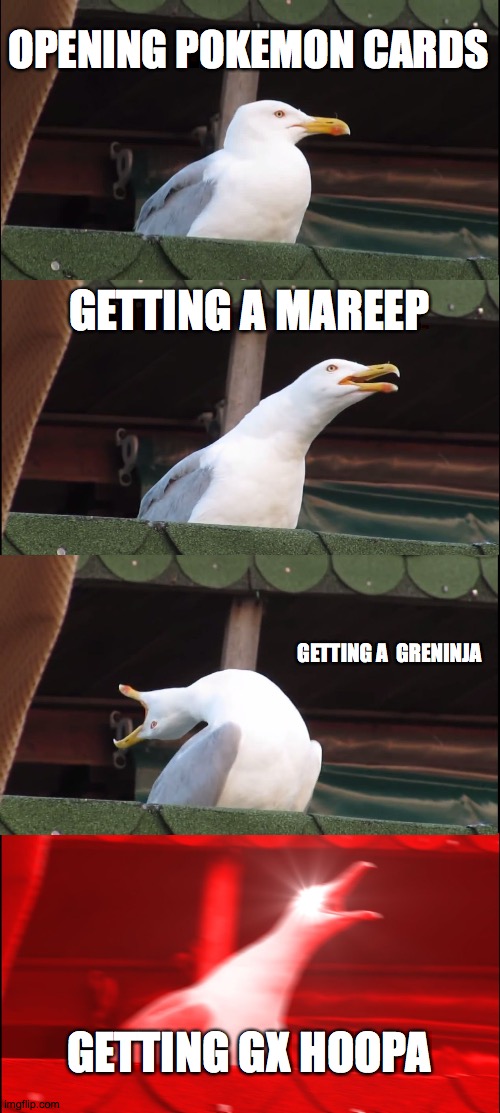 Inhaling Seagull Meme | OPENING POKEMON CARDS GETTING A MAREEP GETTING A  GRENINJA GETTING GX HOOPA | image tagged in memes,inhaling seagull | made w/ Imgflip meme maker