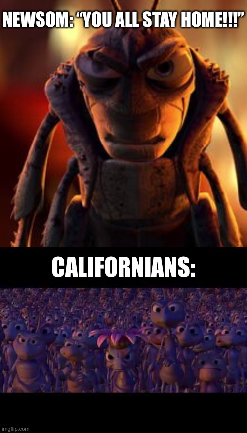 California is A Bug’s Life, and Newsom is Hopper. | NEWSOM: “YOU ALL STAY HOME!!!”; CALIFORNIANS: | image tagged in hopper a bugs life,memes,newsom,california,protest,stay home | made w/ Imgflip meme maker