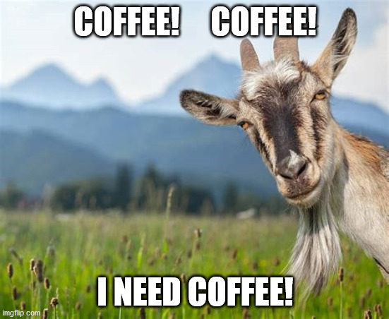 Coffee Goat | COFFEE!     COFFEE! I NEED COFFEE! | image tagged in goat | made w/ Imgflip meme maker