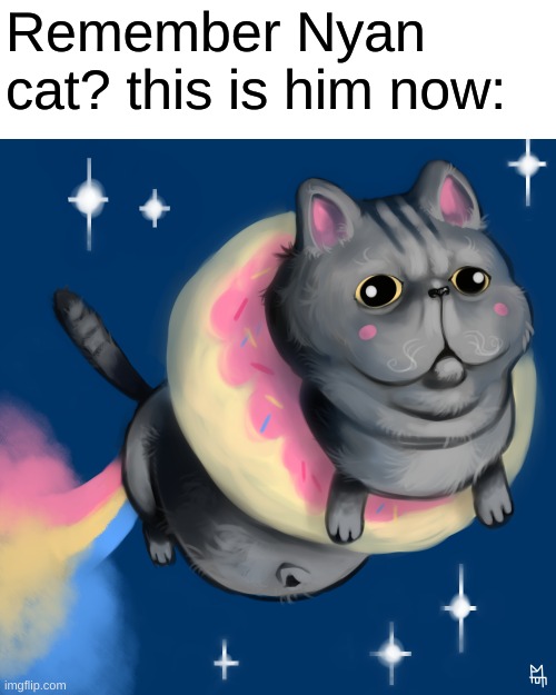 Remember Nyan cat? this is him now: | image tagged in meme,funny,i am actually using tags | made w/ Imgflip meme maker
