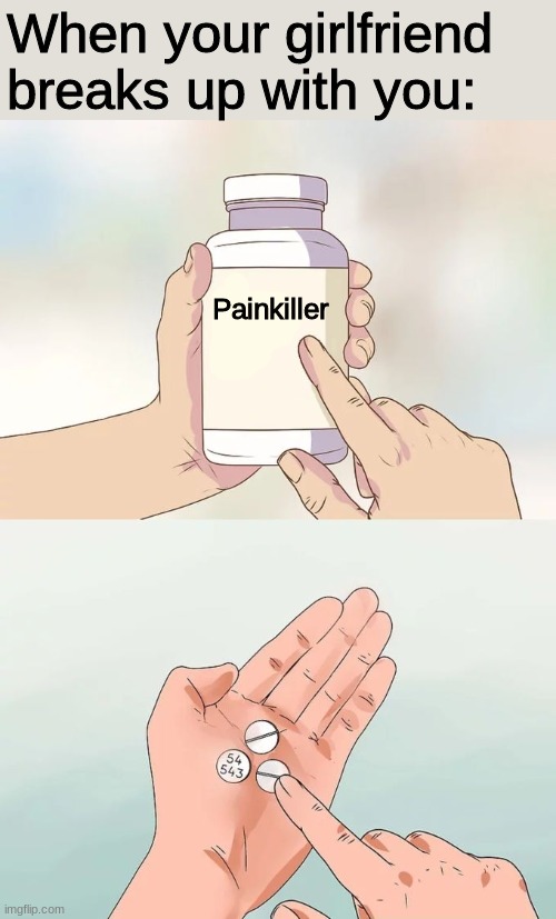 Painkiller | When your girlfriend breaks up with you:; Painkiller | image tagged in memes,hard to swallow pills,oof | made w/ Imgflip meme maker