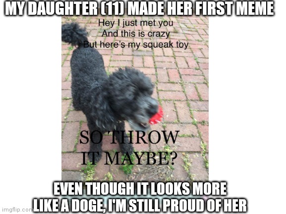 My daughter's first meme | MY DAUGHTER (11) MADE HER FIRST MEME; EVEN THOUGH IT LOOKS MORE LIKE A DOGE, I'M STILL PROUD OF HER | image tagged in doge,carly rae jepsen | made w/ Imgflip meme maker