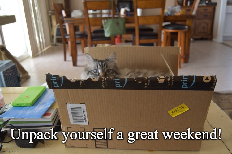 Unpack | Unpack yourself a great weekend! | image tagged in phrytzie,fun,cat weekend | made w/ Imgflip meme maker