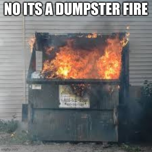 Dumpster Fire | NO ITS A DUMPSTER FIRE | image tagged in dumpster fire | made w/ Imgflip meme maker