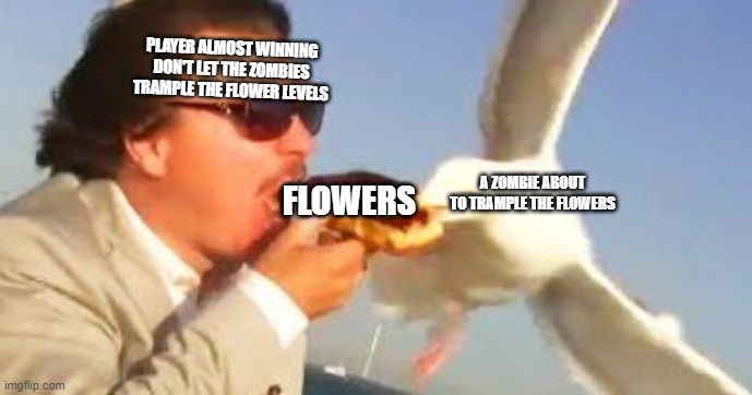 Trampled | PLAYER ALMOST WINNING DON'T LET THE ZOMBIES TRAMPLE THE FLOWER LEVELS; A ZOMBIE ABOUT TO TRAMPLE THE FLOWERS; FLOWERS | image tagged in swiping seagull,plants vs zombies | made w/ Imgflip meme maker