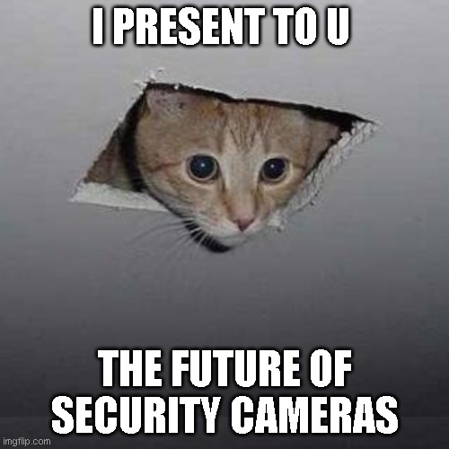 Ceiling Cat Meme | I PRESENT TO U; THE FUTURE OF SECURITY CAMERAS | image tagged in memes,ceiling cat | made w/ Imgflip meme maker