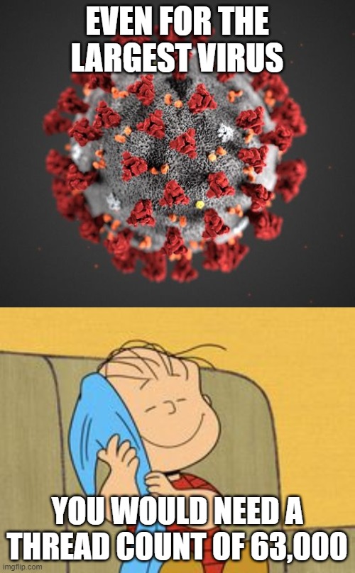 EVEN FOR THE LARGEST VIRUS YOU WOULD NEED A THREAD COUNT OF 63,000 | image tagged in linus and his blanket,covid 19 | made w/ Imgflip meme maker