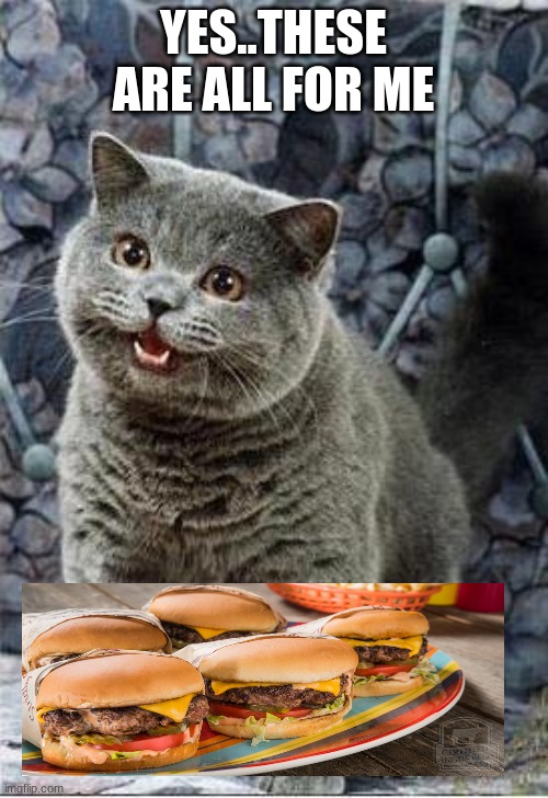 MY cheezburgers | YES..THESE ARE ALL FOR ME | image tagged in i can has cheezburger cat | made w/ Imgflip meme maker