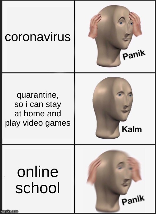 panik | coronavirus; quarantine, so i can stay at home and play video games; online school | image tagged in memes,panik kalm panik | made w/ Imgflip meme maker