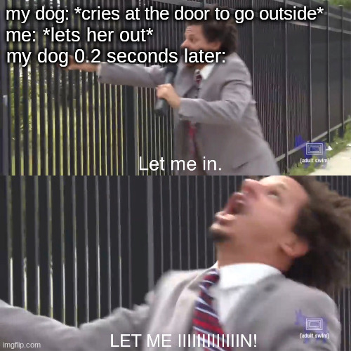 she a confused pupper | my dog: *cries at the door to go outside*; me: *lets her out*; my dog 0.2 seconds later: | image tagged in let me in,memes,funny,funny memes | made w/ Imgflip meme maker