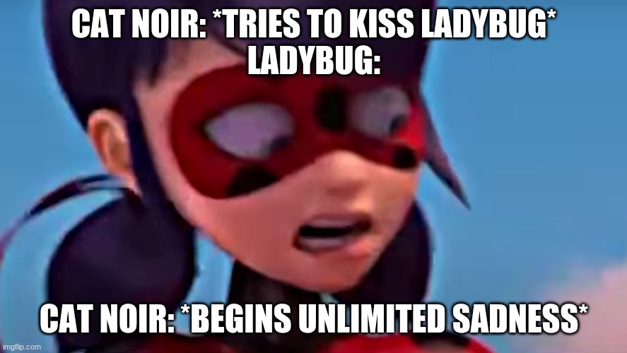 The Beginning of Cat Noir's Unlimited Sadness |  CAT NOIR: *TRIES TO KISS LADYBUG*
LADYBUG:; CAT NOIR: *BEGINS UNLIMITED SADNESS* | image tagged in miraculous ladybug | made w/ Imgflip meme maker