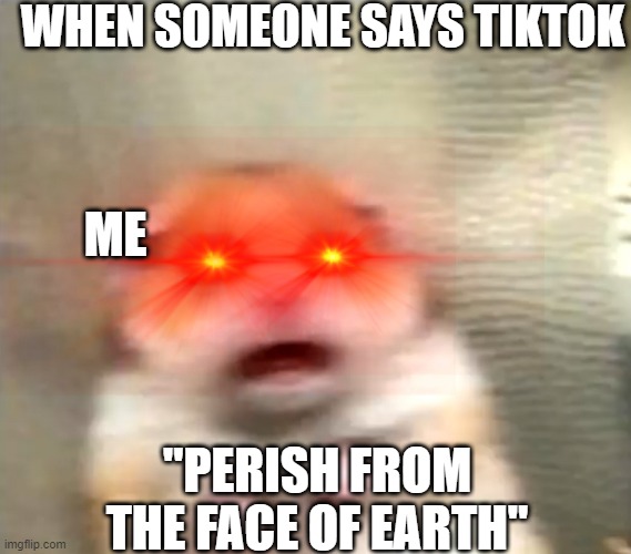yeeter skeeter yos | WHEN SOMEONE SAYS TIKTOK; ME; "PERISH FROM THE FACE OF EARTH" | image tagged in scared hamster | made w/ Imgflip meme maker