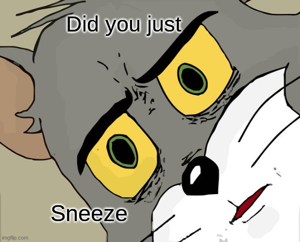 Unsettled Tom | Did you just; Sneeze | image tagged in memes,unsettled tom | made w/ Imgflip meme maker