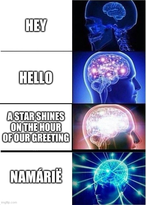 It's the Quenya word for greeting and farewell | HEY; HELLO; A STAR SHINES ON THE HOUR OF OUR GREETING; NAMÁRIË | image tagged in memes,expanding brain | made w/ Imgflip meme maker