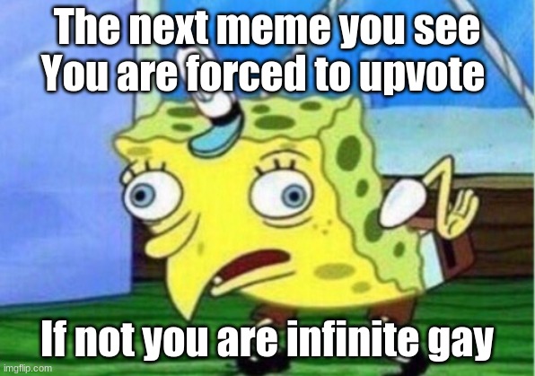 Mocking Spongebob | The next meme you see You are forced to upvote; If not you are infinite gay | image tagged in memes,mocking spongebob | made w/ Imgflip meme maker
