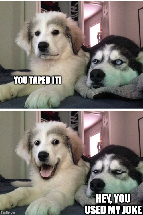 Bad pun dogs | YOU TAPED IT! HEY, YOU USED MY JOKE | image tagged in bad pun dogs | made w/ Imgflip meme maker