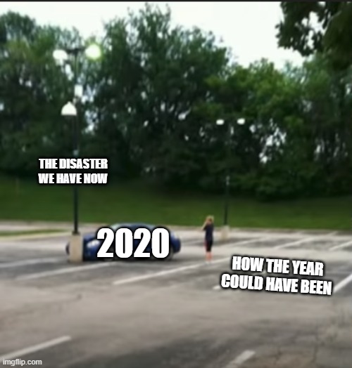 You Had One Job | THE DISASTER WE HAVE NOW; 2020; HOW THE YEAR COULD HAVE BEEN | image tagged in you had one job | made w/ Imgflip meme maker