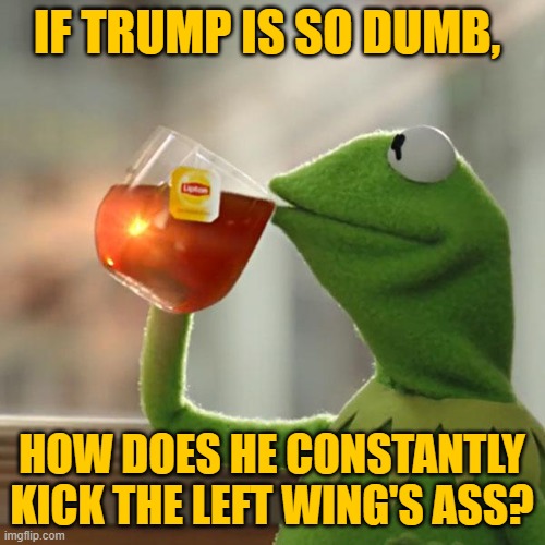 But That's None Of My Business Meme | IF TRUMP IS SO DUMB, HOW DOES HE CONSTANTLY KICK THE LEFT WING'S ASS? | image tagged in memes,but that's none of my business,kermit the frog | made w/ Imgflip meme maker