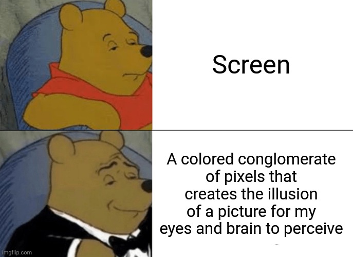 Tuxedo Winnie The Pooh |  Screen; A colored conglomerate of pixels that creates the illusion of a picture for my eyes and brain to perceive | image tagged in memes,tuxedo winnie the pooh,screen | made w/ Imgflip meme maker