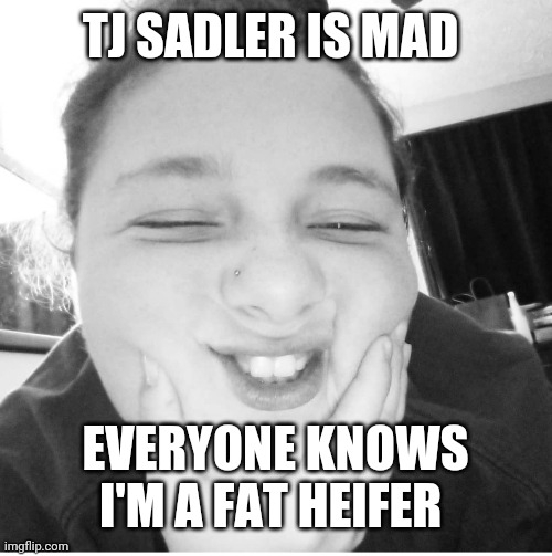 TJ SADLER IS MAD; EVERYONE KNOWS I'M A FAT HEIFER | made w/ Imgflip meme maker