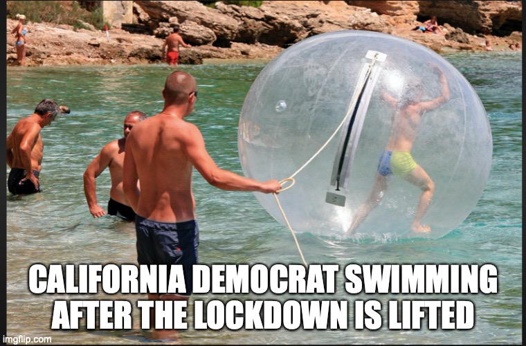 dumb | CALIFORNIA DEMOCRAT SWIMMING AFTER THE LOCKDOWN IS LIFTED | image tagged in dumb,moron,democrat,virus | made w/ Imgflip meme maker