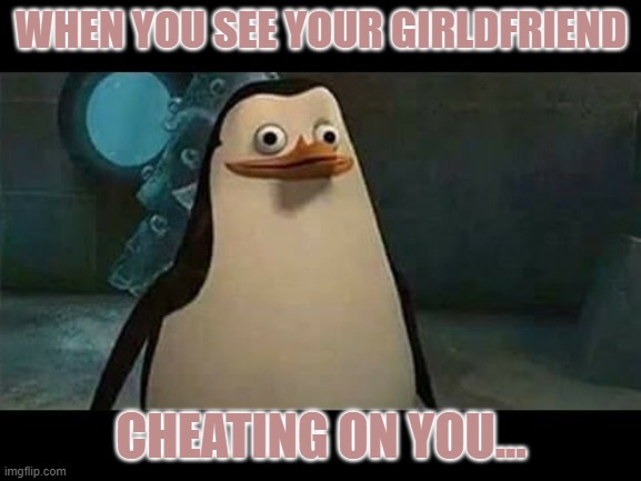 Idk | WHEN YOU SEE YOUR GIRLDFRIEND; CHEATING ON YOU... | image tagged in confused penguin | made w/ Imgflip meme maker