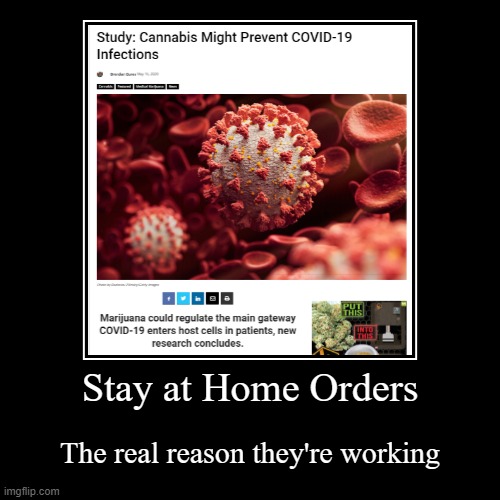 The real reason stay at home orders work | image tagged in funny,demotivationals,cannabis,covid-19,stay at home | made w/ Imgflip demotivational maker